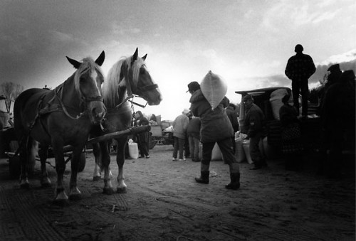 foto, maciej skawiński